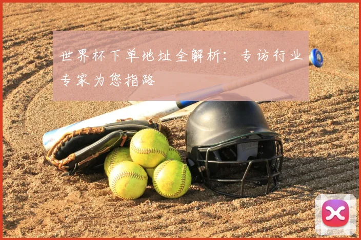 世界杯下单地址全解析：专访行业专家为您指路