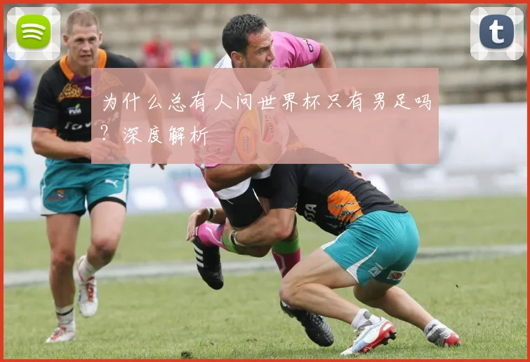 为什么总有人问世界杯只有男足吗？深度解析