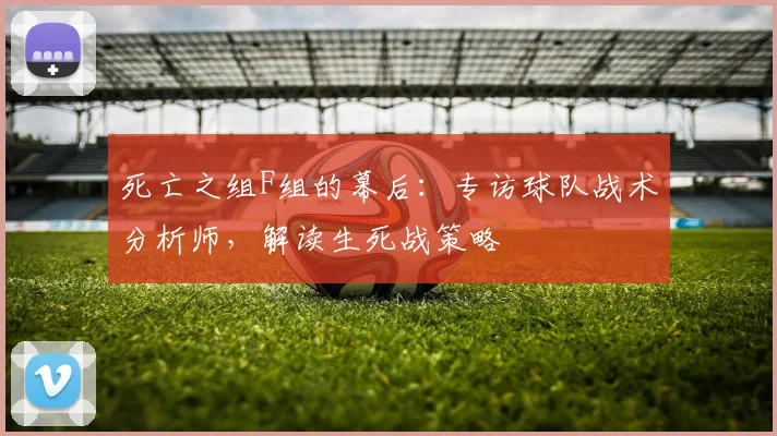 死亡之组F组的幕后：专访球队战术分析师，解读生死战策略