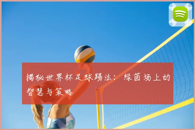 揭秘世界杯足球踢法:绿茵场上的智慧与策略