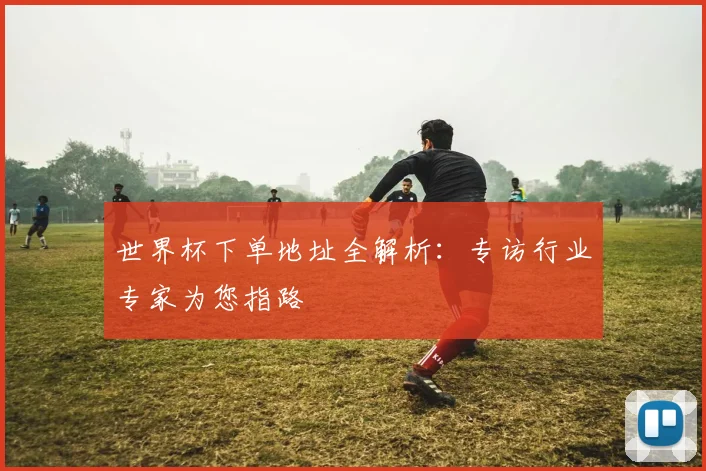 世界杯下单地址全解析：专访行业专家为您指路