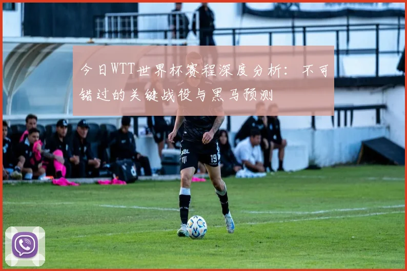 今日WTT世界杯赛程深度分析：不可错过的关键战役与黑马预测